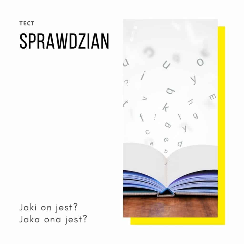 Польская грамматика #5